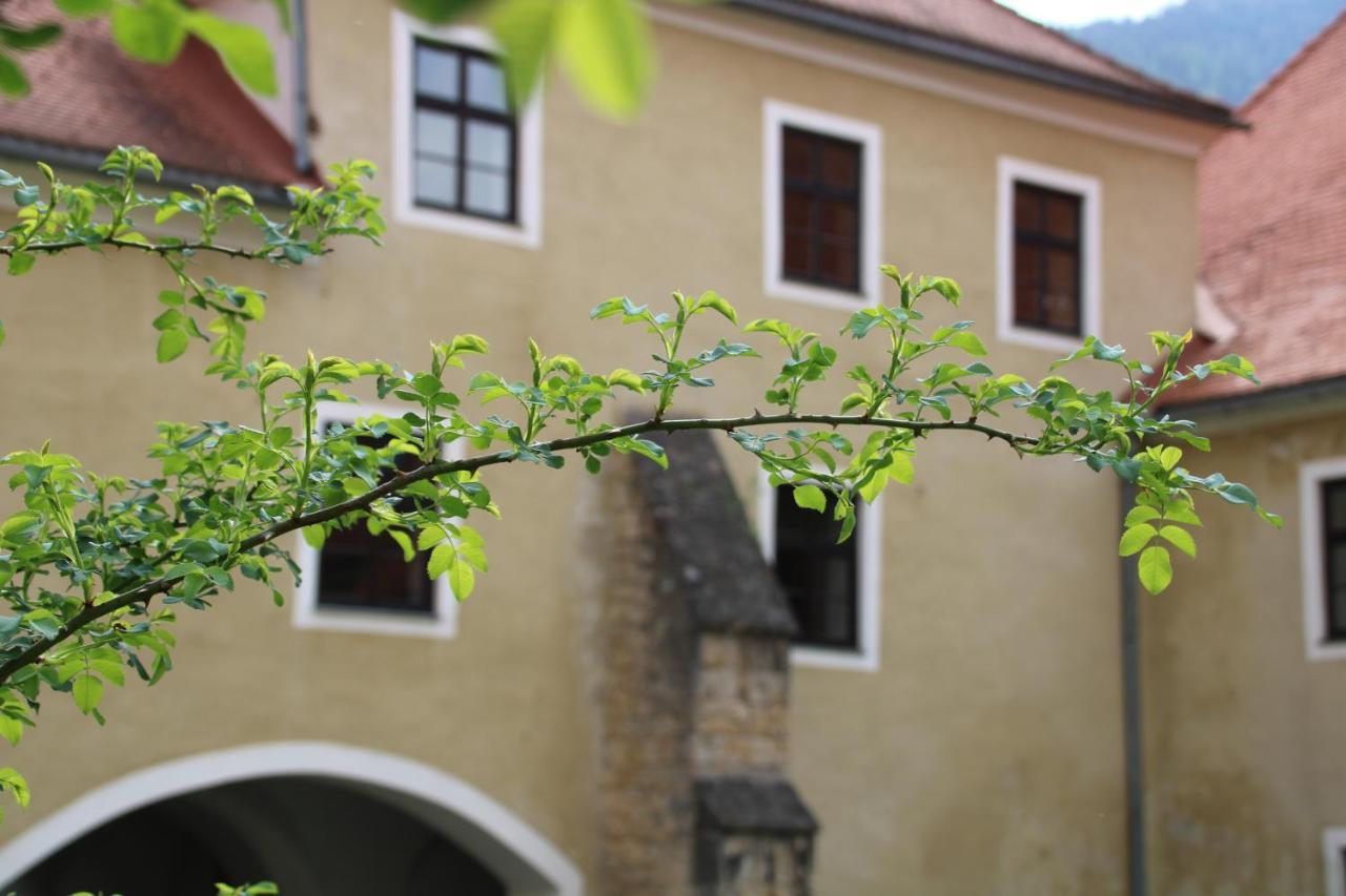 Hotel Im Stift Neuberg Neuberg an der Mürz Екстериор снимка